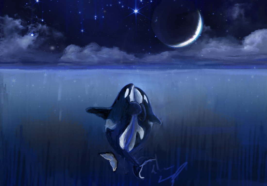 orca art by kali ren_day 3_THE LOVERS_#orcatarot_#orcamagicktarot_#orcamagictarot_#orcashaman_#orcatotem_#orcaspiritguide_#orcashamanism_#path17thelovers_#06thelovers_#orcatarotthelovers_#emptythetanks_#freewilly_#kalidragons